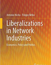 Liberalizations in network industries Economics, policy and politics